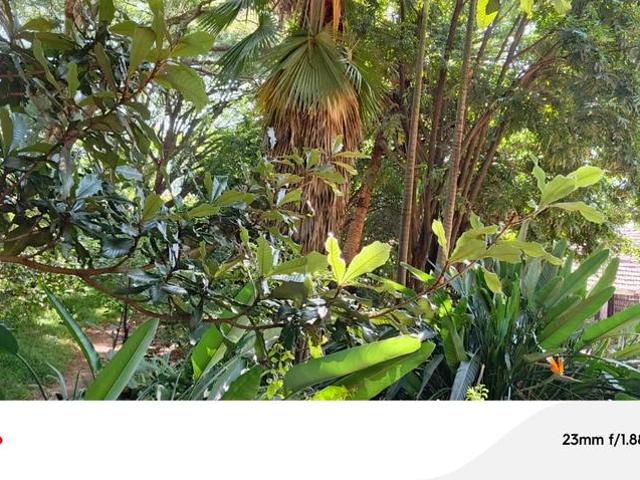Prime 1.2 Acre Property for Sale in Lavington Nairobi Kenya