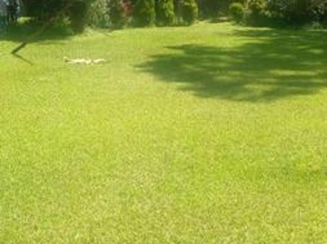 Prime 1.5 acres Land with 5 bedrooms house, on sewer good for redevelopment