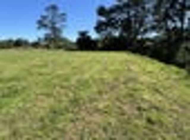 Prime 1.5ha Lifestyle Block Omata