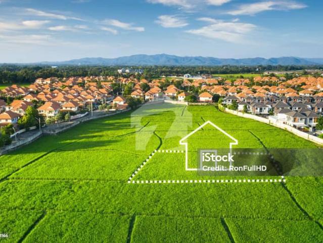 Prime 20 Marla Plot For Sale In PCSIR Society
