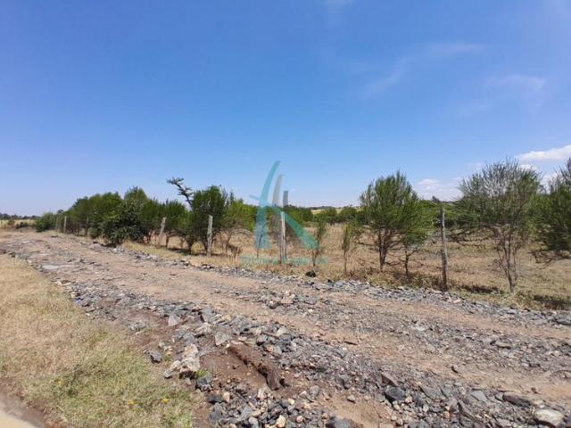 Prime 3 Acre Land for Sale in Nanyuki