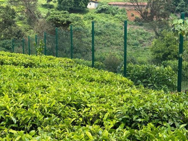 Prime Tigoni Land for Sale – Your Dream Investment Awaits!