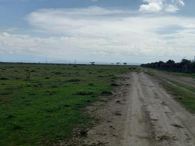Prime and Affordable plots In Nanyuki