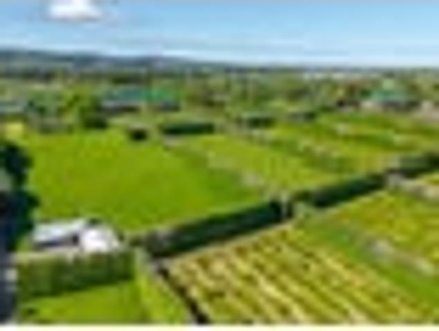Prime Ardmore Investment Opportunity