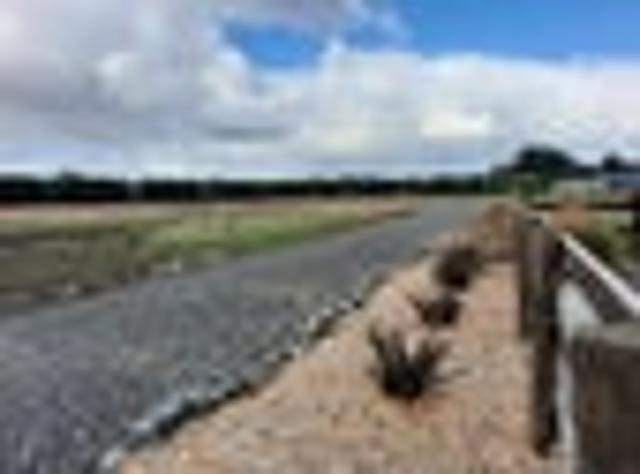 PRIME BACK SECTION OTATARA. INVERCARGILL