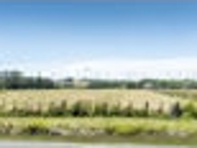 Prime Bare Land Opportunity in Dargaville