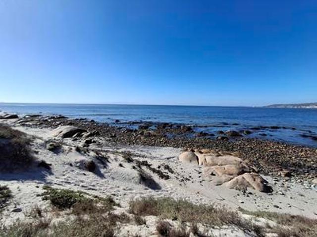 prime beachfront stand in shelley po.