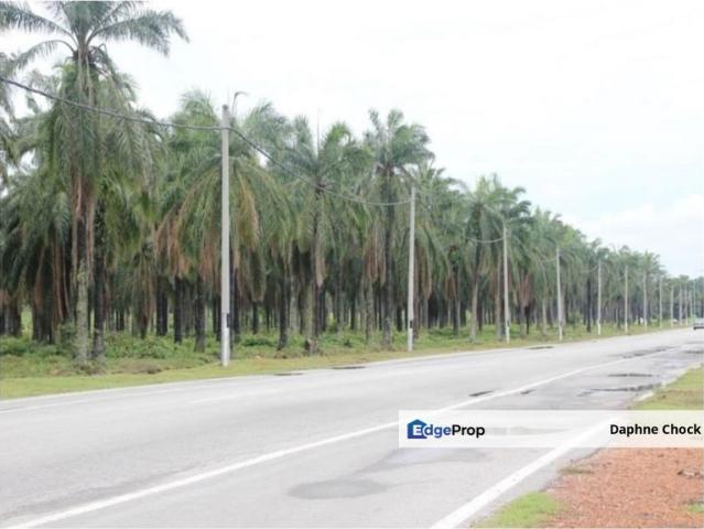 Prime Flat Land
