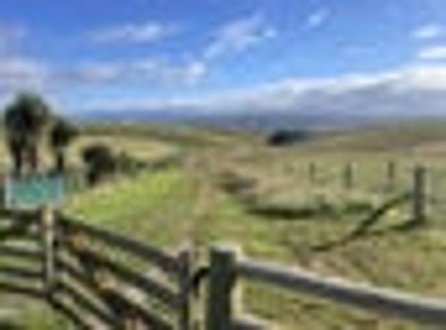 Prime grazing and lifestyle block with views