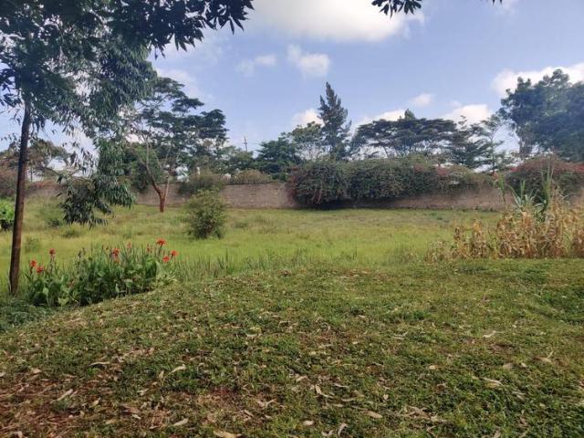 Prime Half Acre Plot for Sale in Nyari