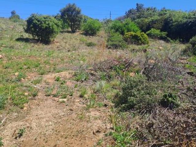 prime hilltop vacant stand