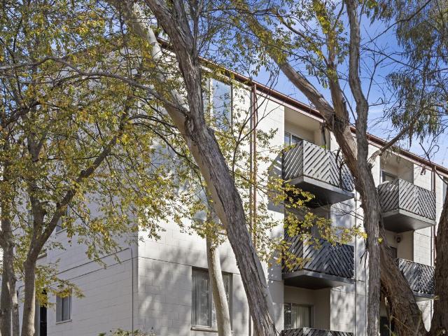 Prime Investment Opportunity in Pearce
