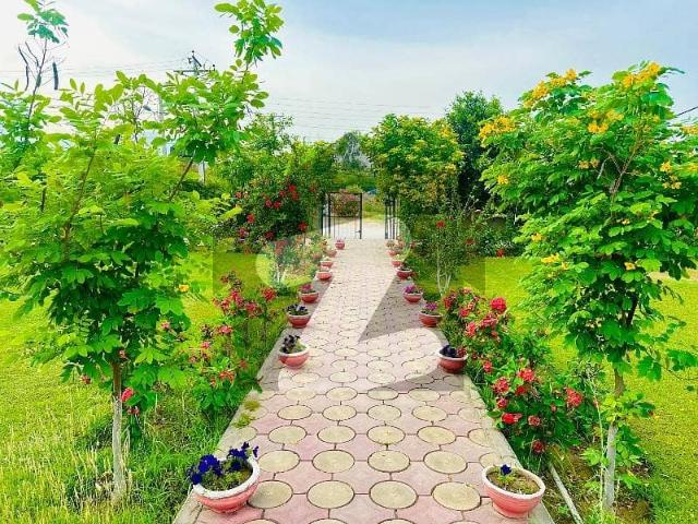 Prime Investment Opportunity, Zone 1, 5marla Best Location Plot For Sale In Investor Rate