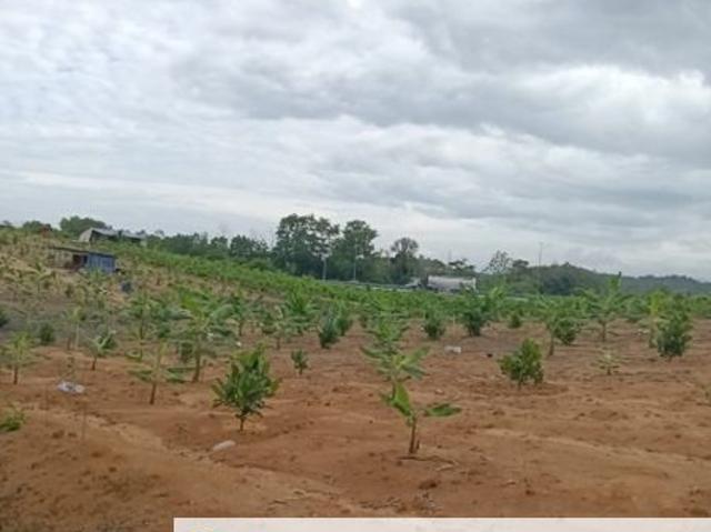PRIME FREEHOLD LAND NEAR LEKAS HIGHWAY – 2 ACRES RUBBER ESTATE MANTIN RARE FREEHOLD
