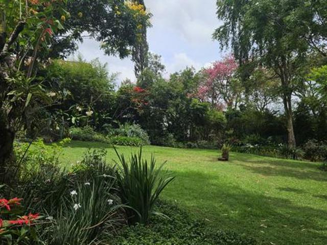 Prime Land for Sale in Ridgeways, Kiambu Road – Half Acre at Ksh 37M