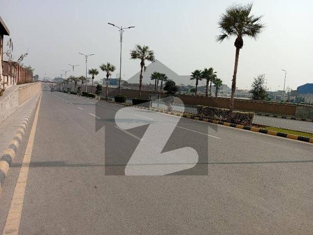 Prime Location 5 Marla Residential Plot In Royal Palm City Block F Is Best Option