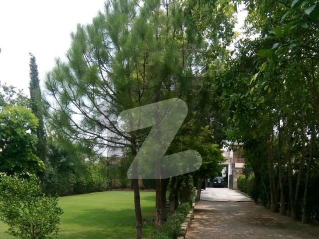 Prime Location 1888 SQ YD Old House F 7