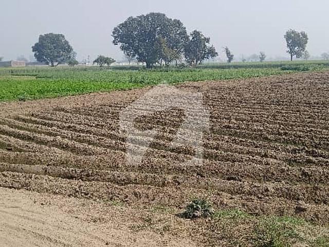 Prime Location Corner 8 Kanal Plot Near To BRB Canal Or DHA Phase 7 Residential Or Farmhouse Purposes