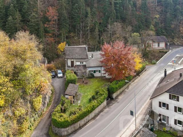 Prime location Home with 2 units, large garden and forest views