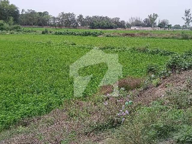 Prime Location Open Land For Sale Carpet Road Access Or Future Investment Farmhouse Dairy Farming Agricultural Purposes