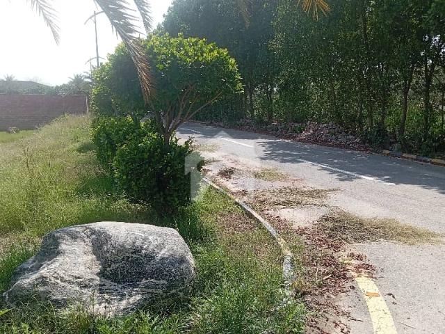Prime Location Plot In Reasonable Price