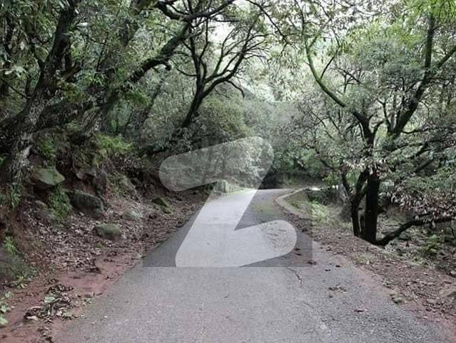 Prime Location Residential Plot Of 16 Marla Available For sale In Murree Resorts