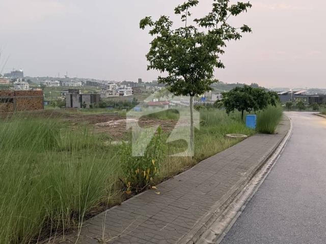 Prime Location Street 4 Level Plot For Sale