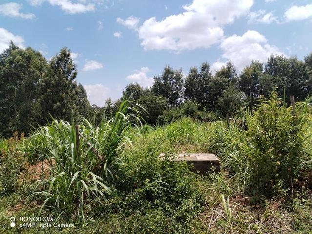 Prime plot of land available for sale in gachie