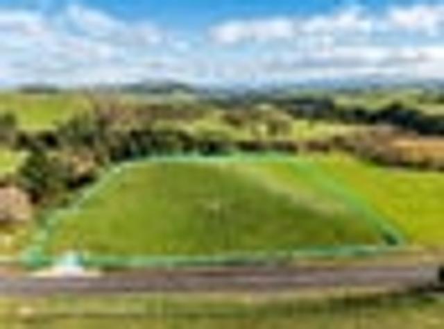 Prime Puketapu Sections