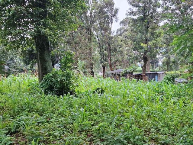 For Sale: Prime Quarter acre Plot Ideal For Residential Or Investment, Ngong, Kajiado Ref: 49184 Kenya Property Centre KPC