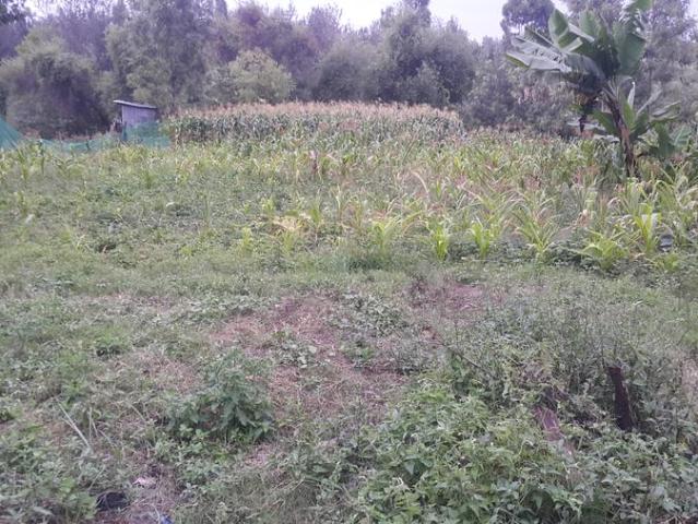 Prime Quarter 1/4 Acre Plot For Sale Ngong 46 area