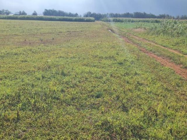 Prime residential/ commercial ¼ plots for sale in kimumu marura in eldoret