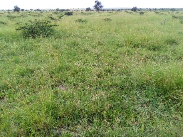 Prime Residential Plots