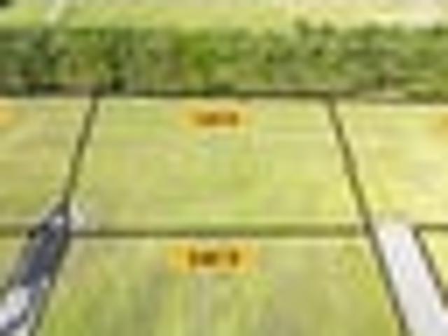 Prime Section with Services to Boundary