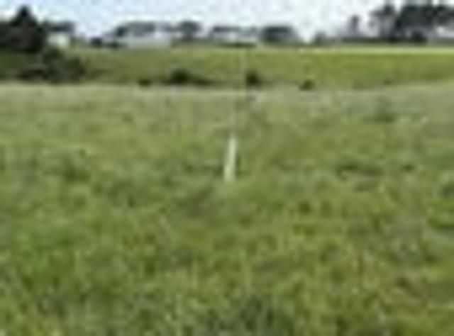 Prime Sections with Views & Stream Boundaries