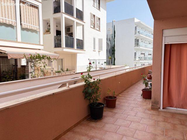 PRIMER PISO CON ASCENSOR Y GRAN TERRAZA A 2 MINUTOS DEL PASEO MARÍTIMO DE PUERTO DE ALCUDIA