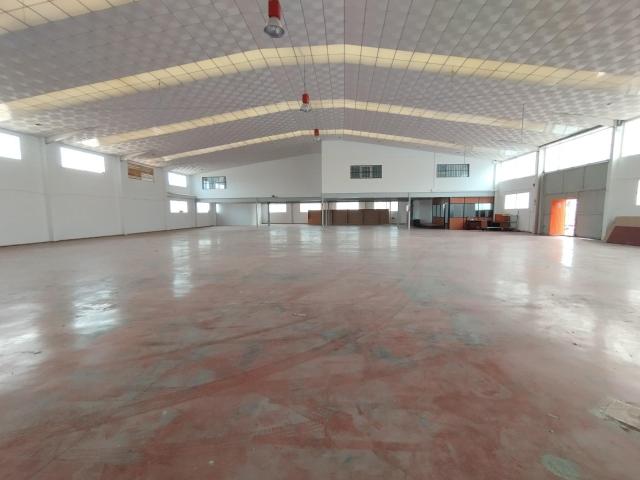 PRIMERA LINEA NAVE 1.375 M2 POL. FAIMA
