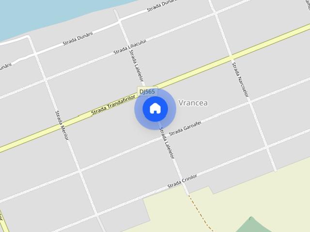 Primesc in gazda elev