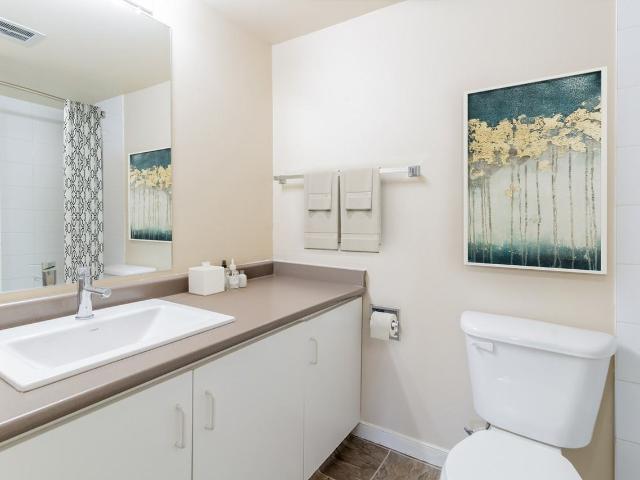 Primrose Lane Apartments 1 Bedroom Apartment for Rent at 8540 182 St Nw, Edmonton, AB T5T 1L9 Aldergrove