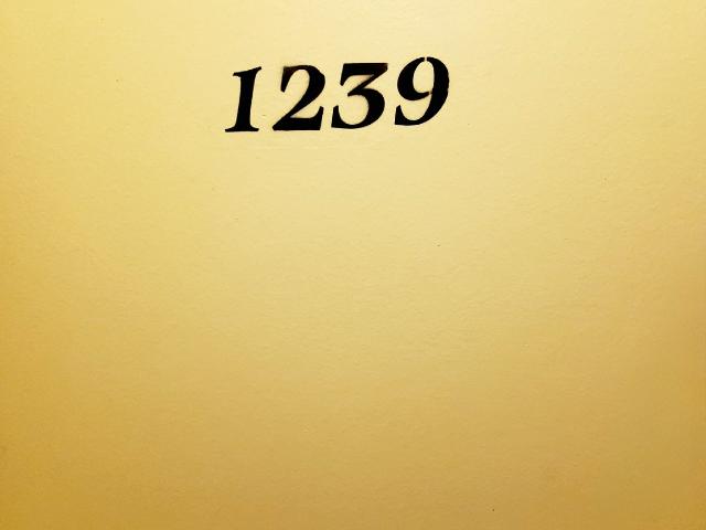 Princess Towers 1 Bedroom Single A [object Promise] for Rent