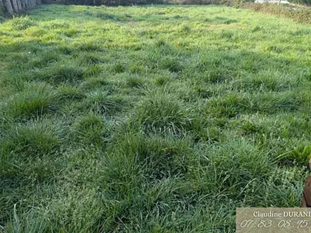 Prinquiau 44260 Achat / Vente terrain