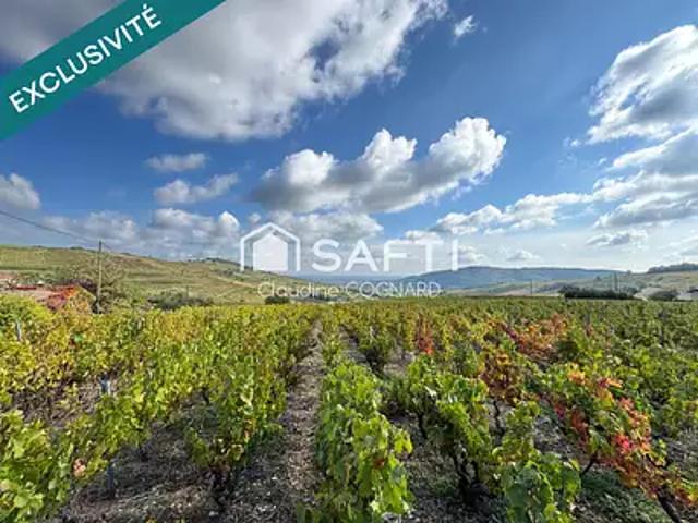 Pruzilly 71570 Achat / Vente maison 8 pièces t8 terrasse parking