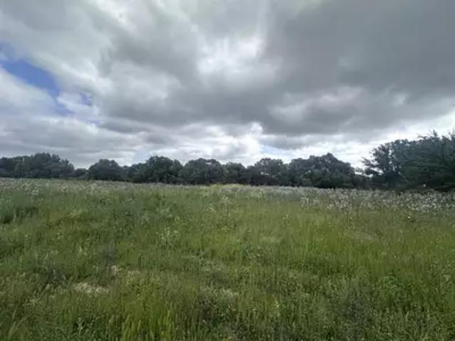 Prunelli di Fiumorbo 20243 Achat / Vente terrain