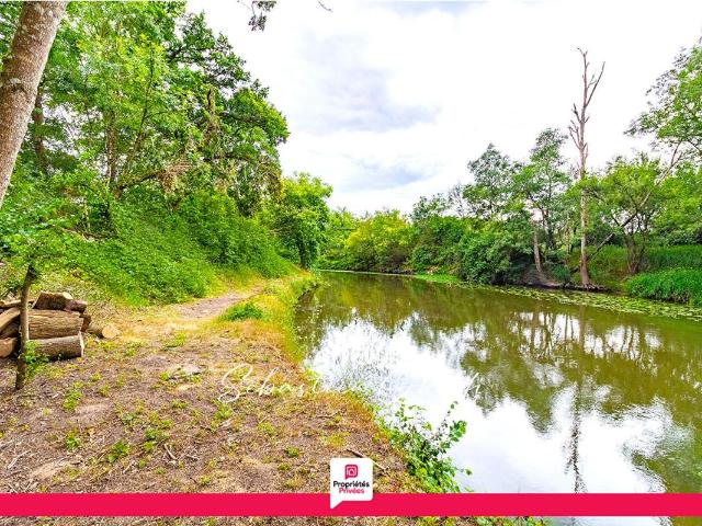 Pruniers en Sologne Vente Terrain 41
