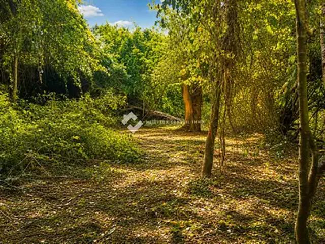 Pruno 20213 Achat / Vente terrain