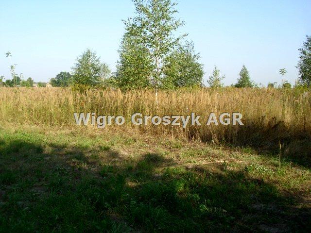 Działka 3000 m² z warunkami zabudowy i infrastrukturą