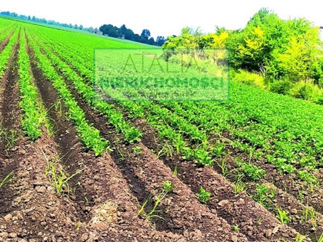 Pruszkowski, Brwinów, Milęcin