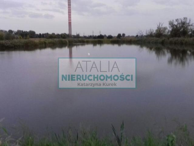 Pruszkowski, Brwinów, Domaniewek