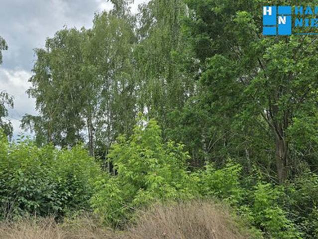 Pruszkowski, Brwinów