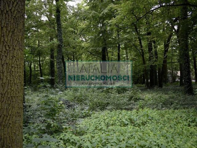 Pruszkowski, Brwinów